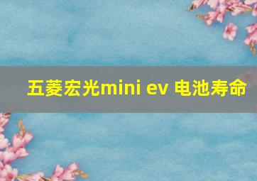 五菱宏光mini ev 电池寿命